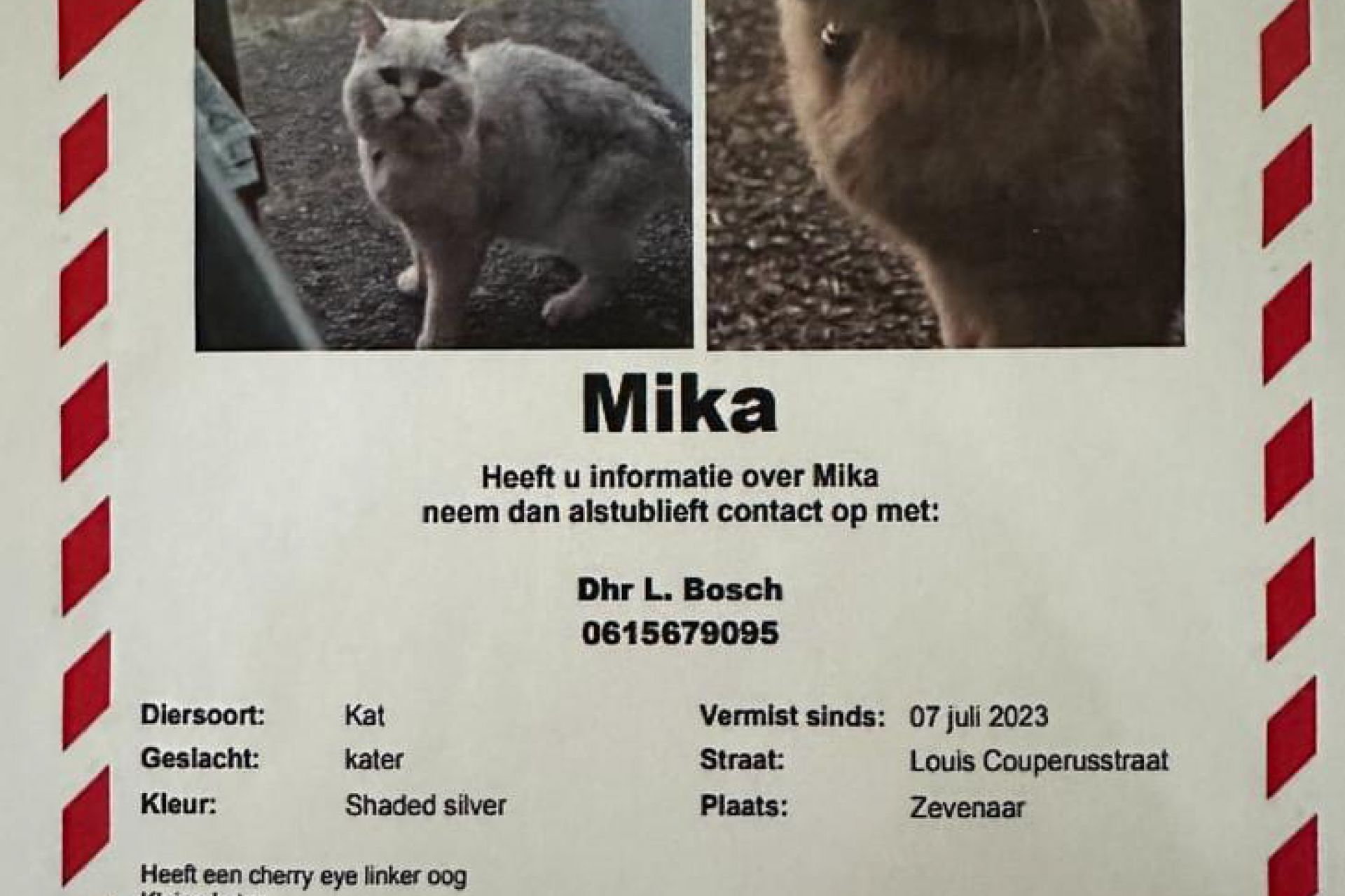 Poster vermissing Mika