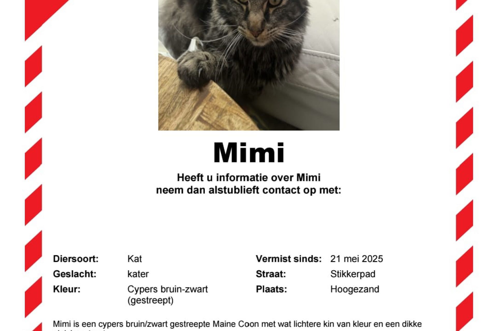Mimi vermist in Hoogezand